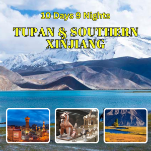 10D9N Southern Xinjiang
