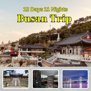 12D11N Busan Trip