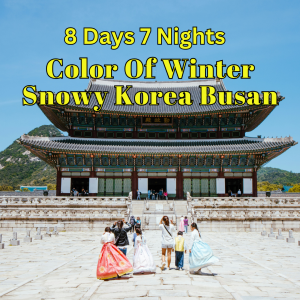 8D7N Winter Snowy Korea Busan