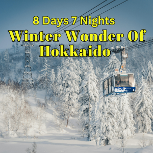 8D7N Winter Wonder Of Hokkaido